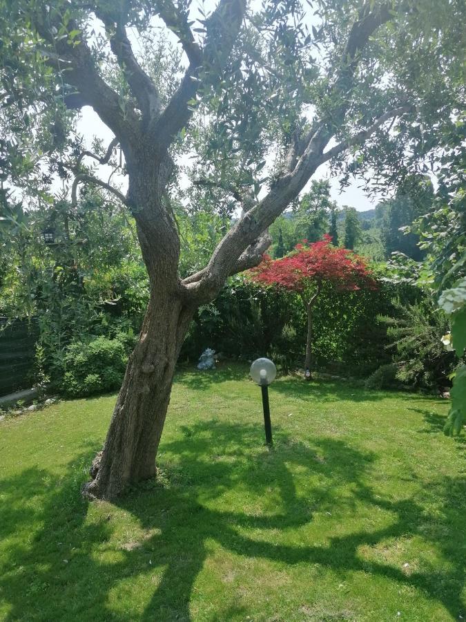 Casa Laghetto Villa Castellaro  Dış mekan fotoğraf
